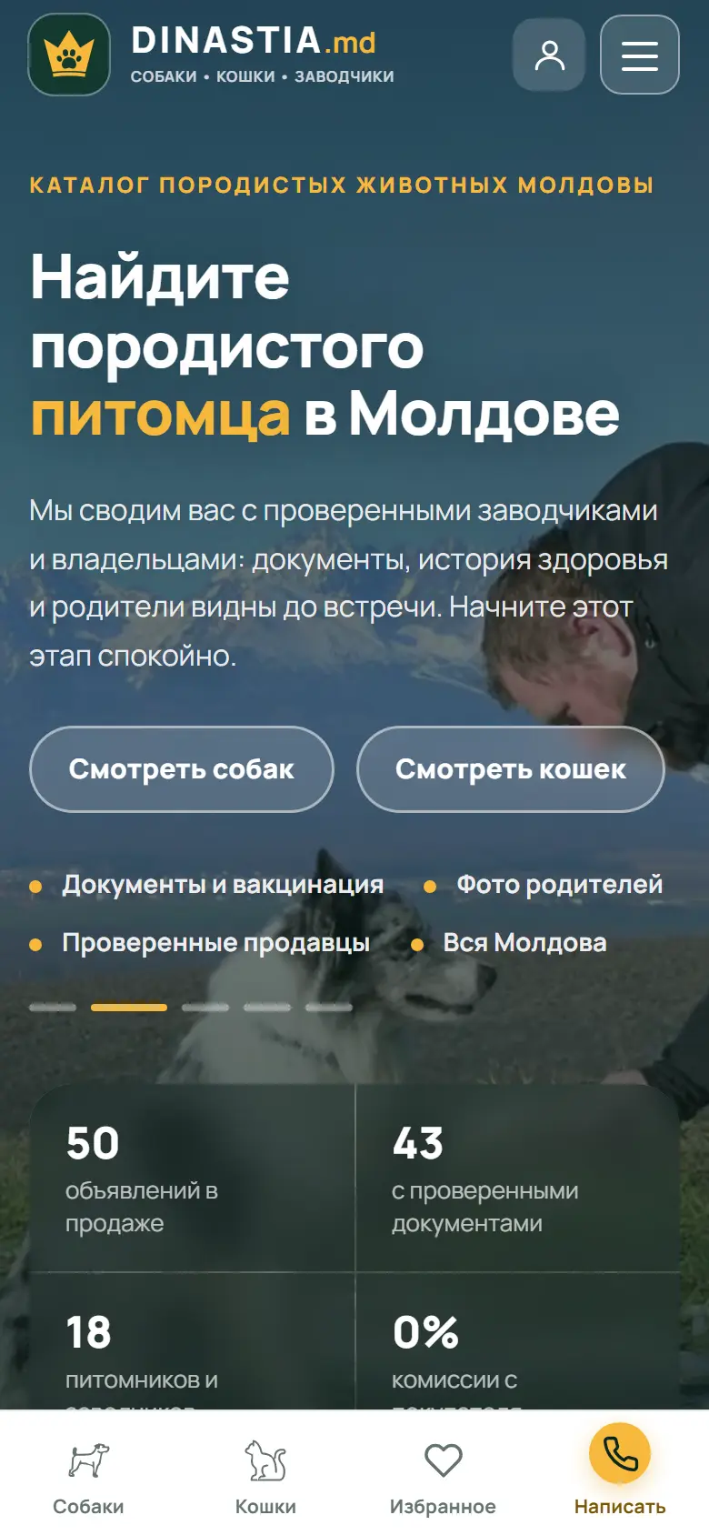 Dinastia home page on a phone