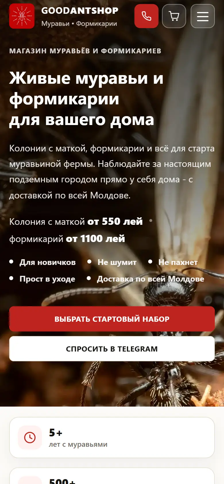 GoodAntShop home page on a phone